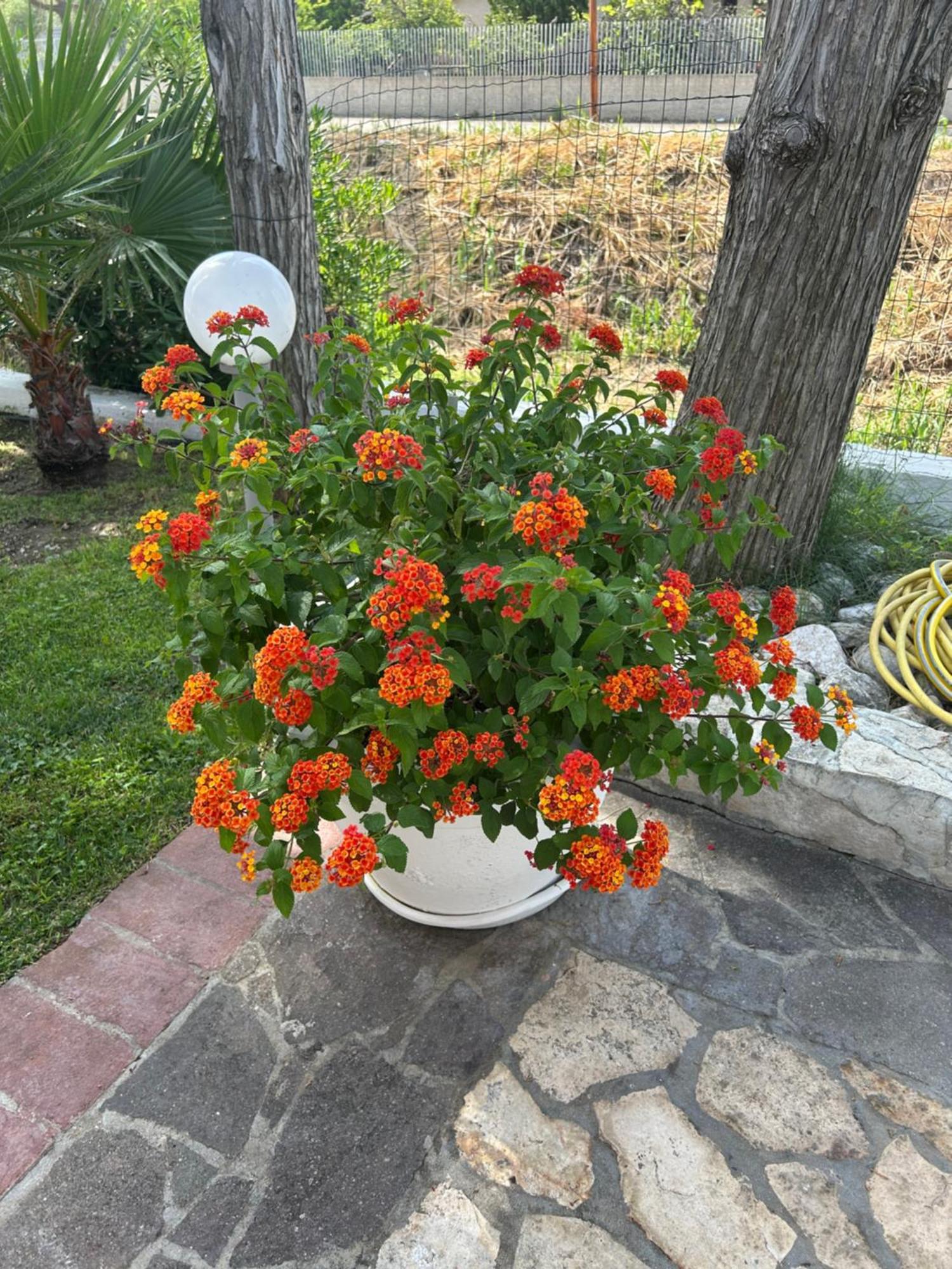 Hotel Ristorante Santa Maria Amantea